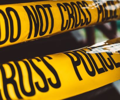 Crime and thriller book Genres