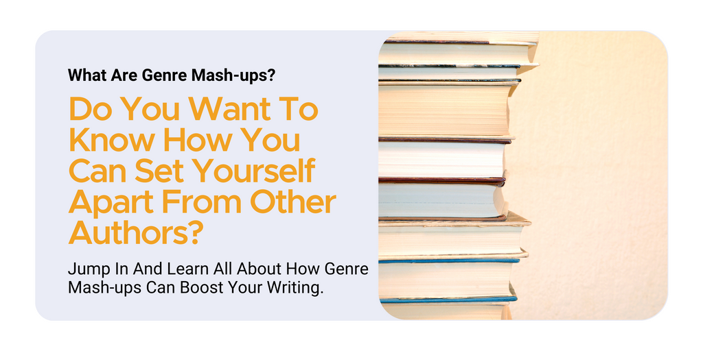 mashup novel - mashup fiction